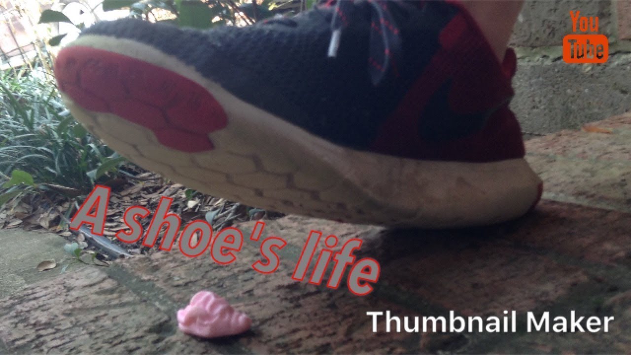 The Life of a Shoe