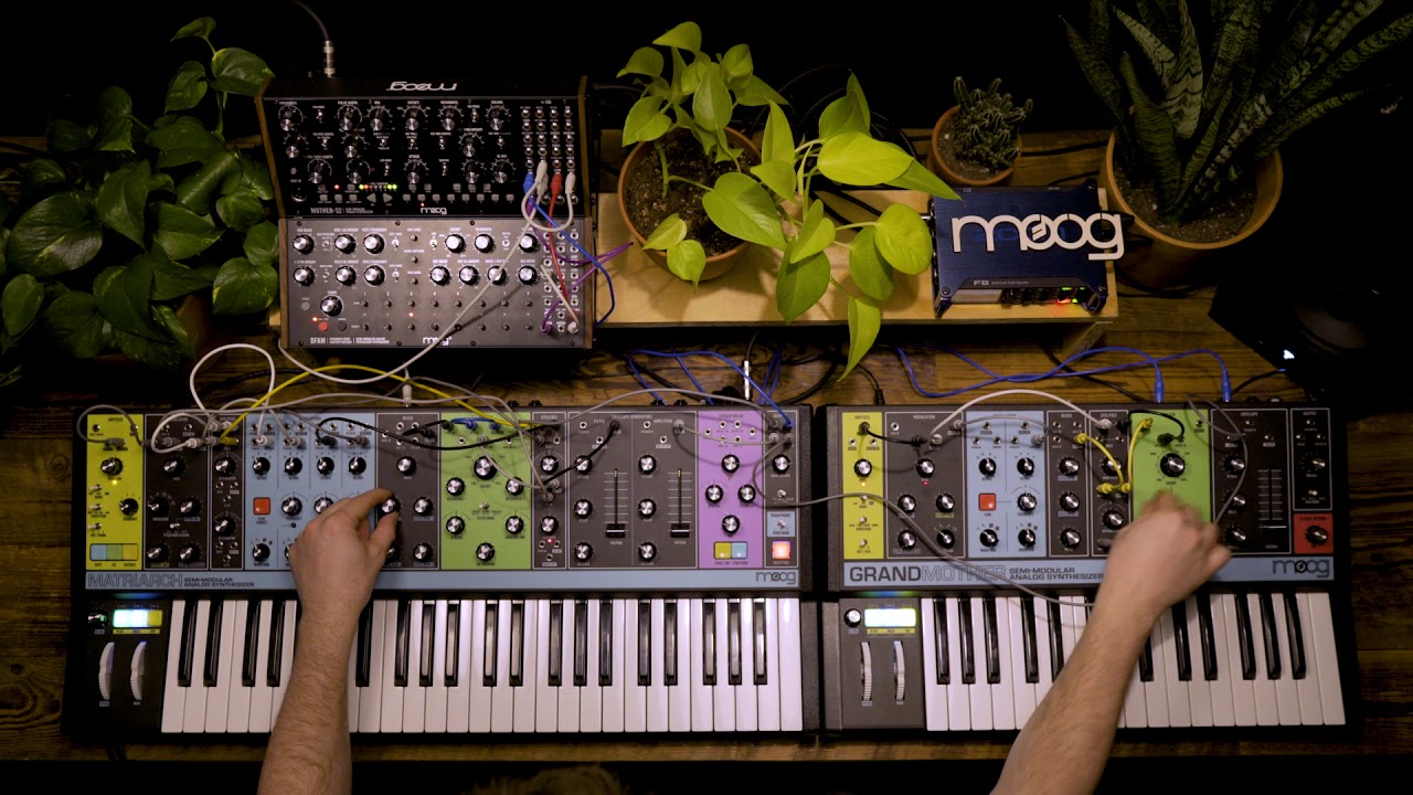 Moog Semi-Modular Synthesizers: Interconnectivity II
