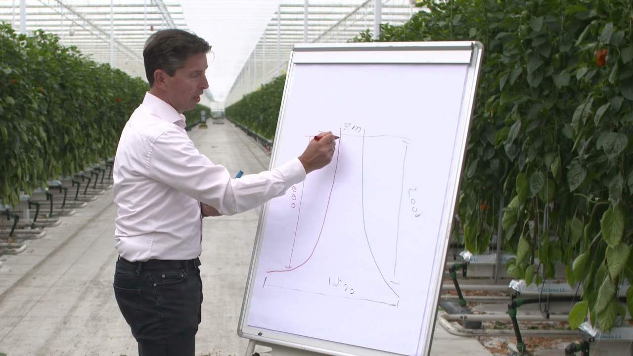 Dutch modern sustainable greenhouse - Climate control