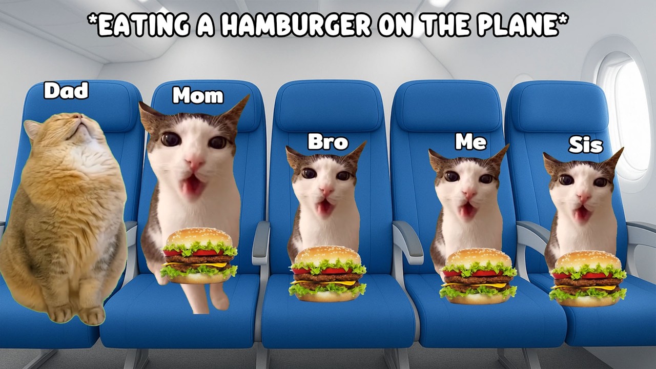 CAT MEMES: Roatrip to Norway
