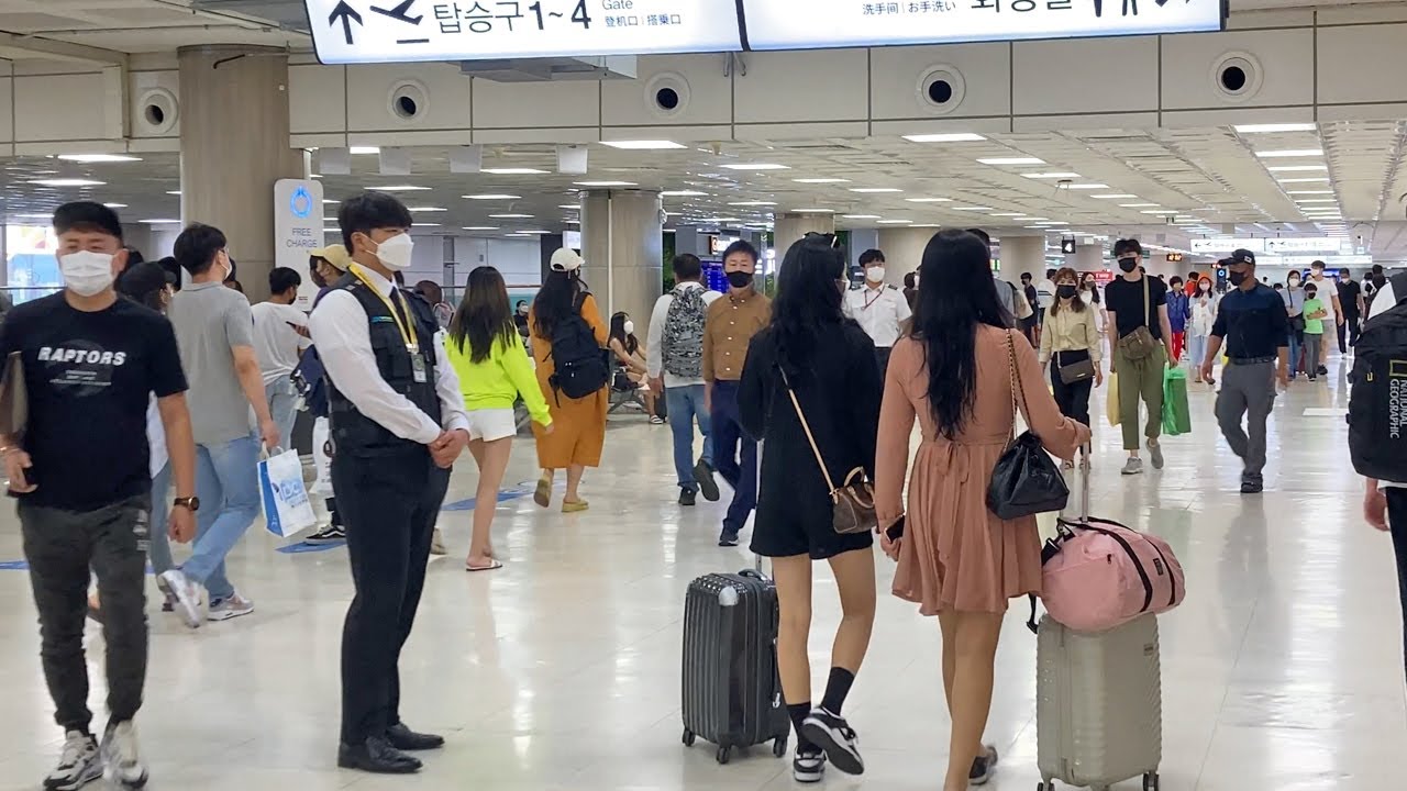 비행기 타러 가는 길! 제주공항 탑승구부터 기내까지 설레는 이동 | Jeju Airport Boarding Walk & Sky View [4K]