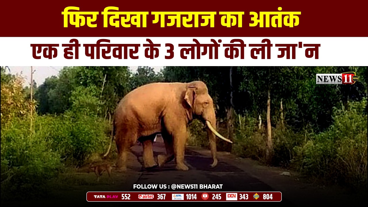 बोकारो:फिर दिखा गजराज का आतंक,एक ही परिवार के 3 लोगों की ली जा'न