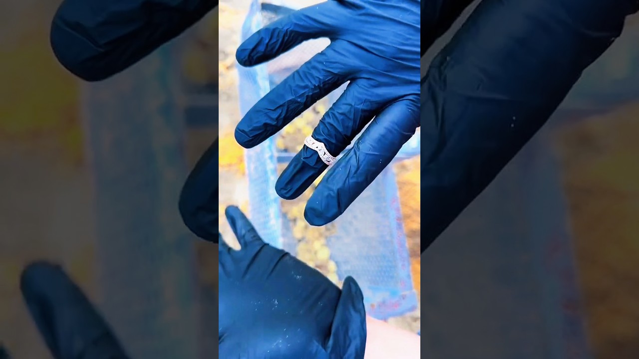 Beach Cleanup… Then We Found THIS 💰