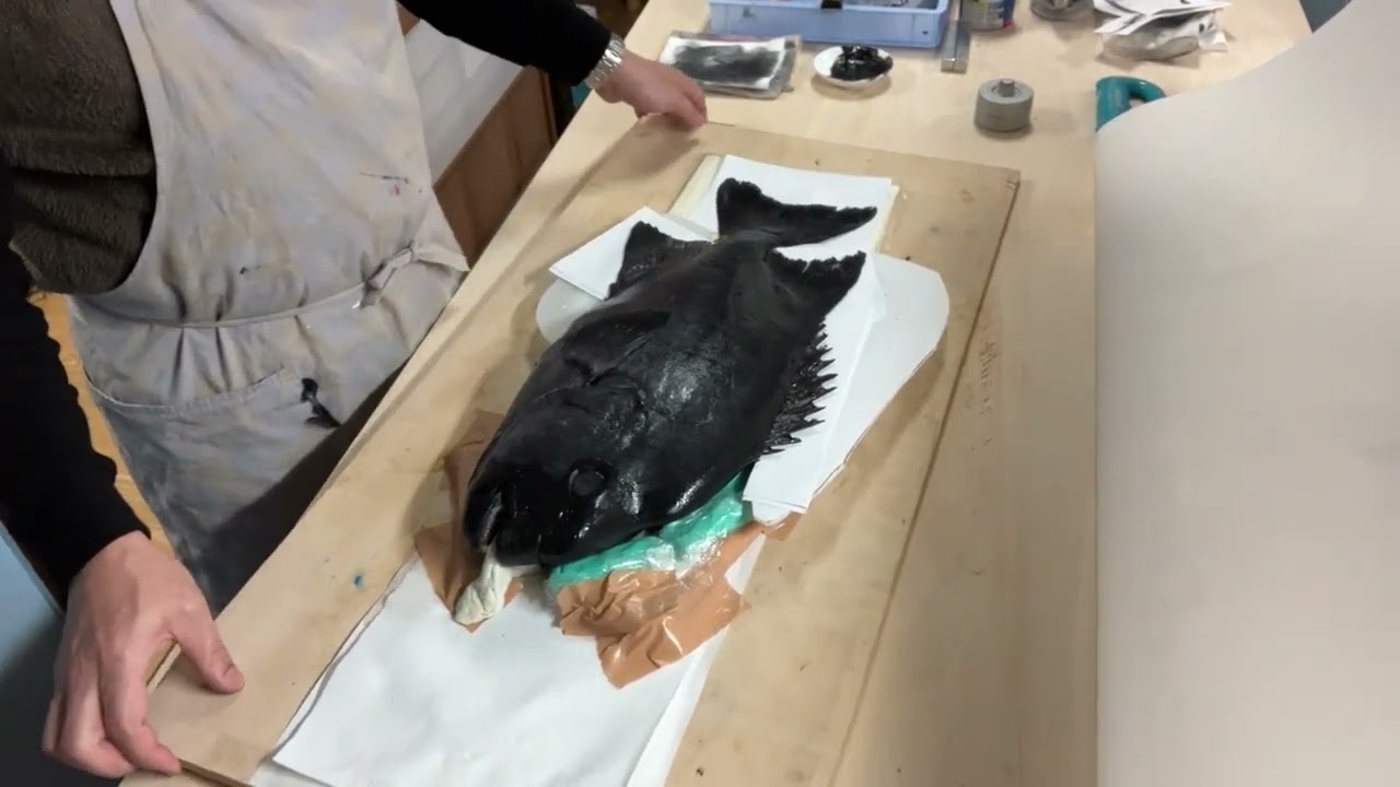 魚拓　直接法　墨　銀ワサ（石鯛雄）
