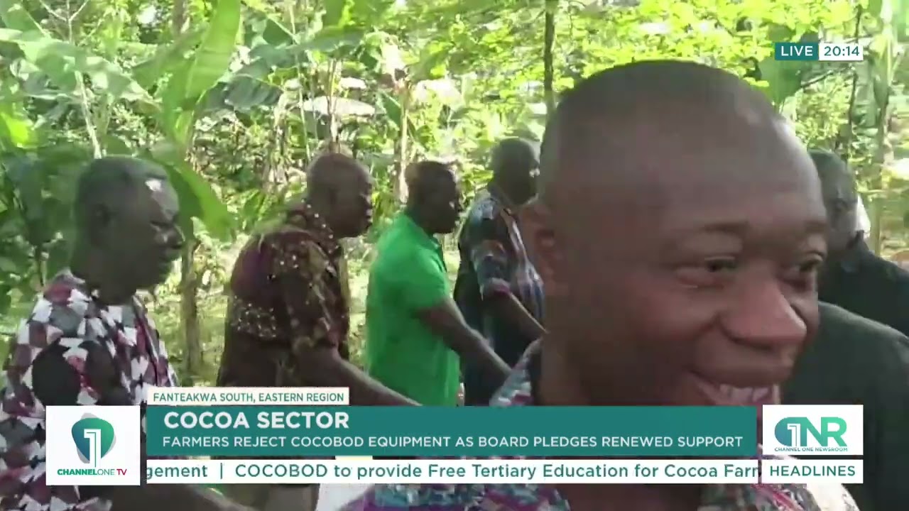 Фермеры, выращивающие какао, отказались от оборудования COCOBOD на фоне возобновленной поддержки ...