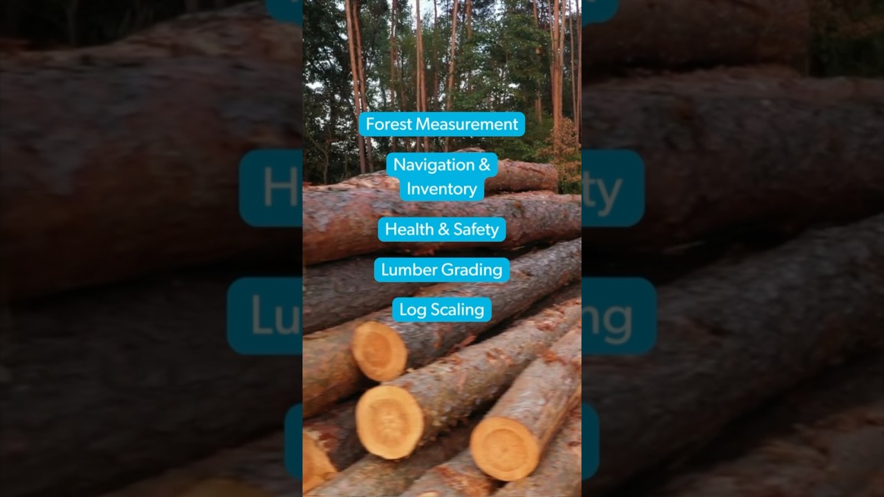 Learn about the upcoming #skillsneeds and #jobopportunities in the #forestry sector!