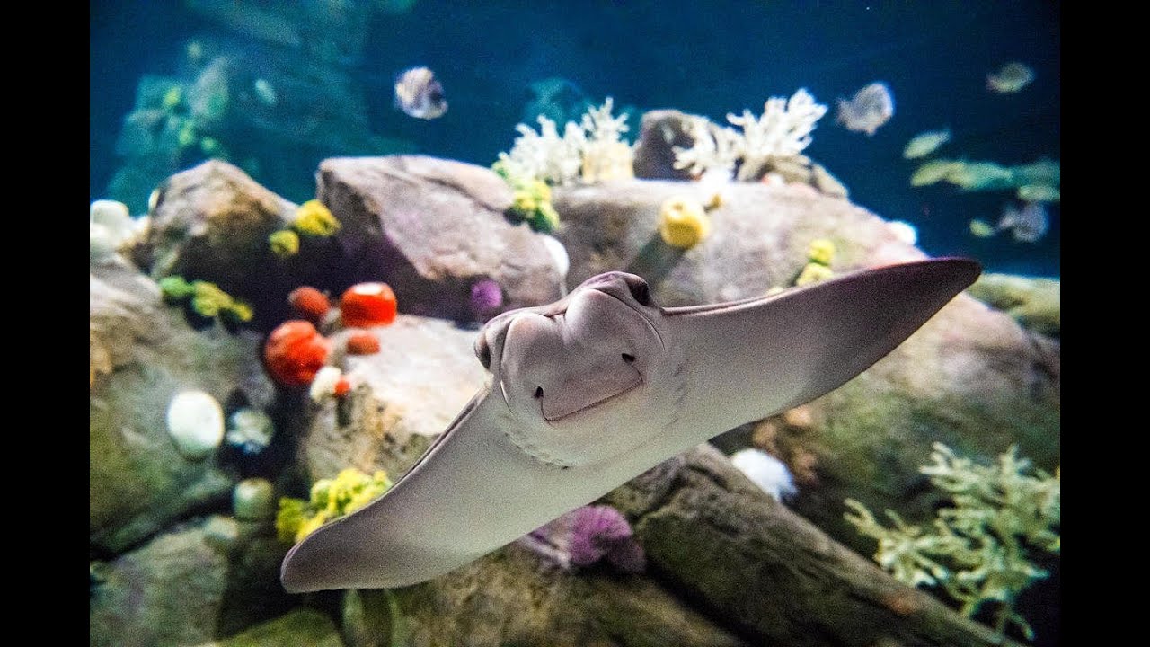 New York Aquarium 2024
