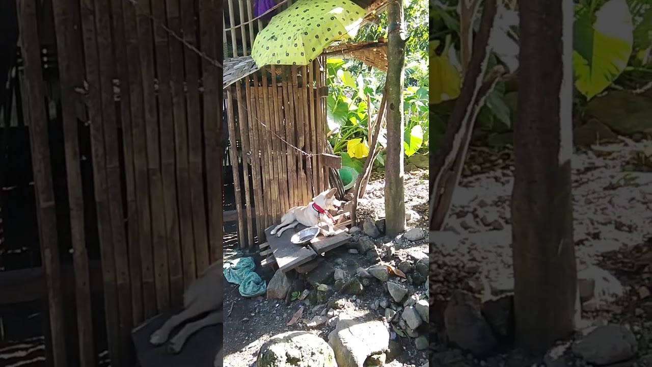 Isuroy tamo guys sa SuLod sa Balay 😀#bukidlife #sabena 