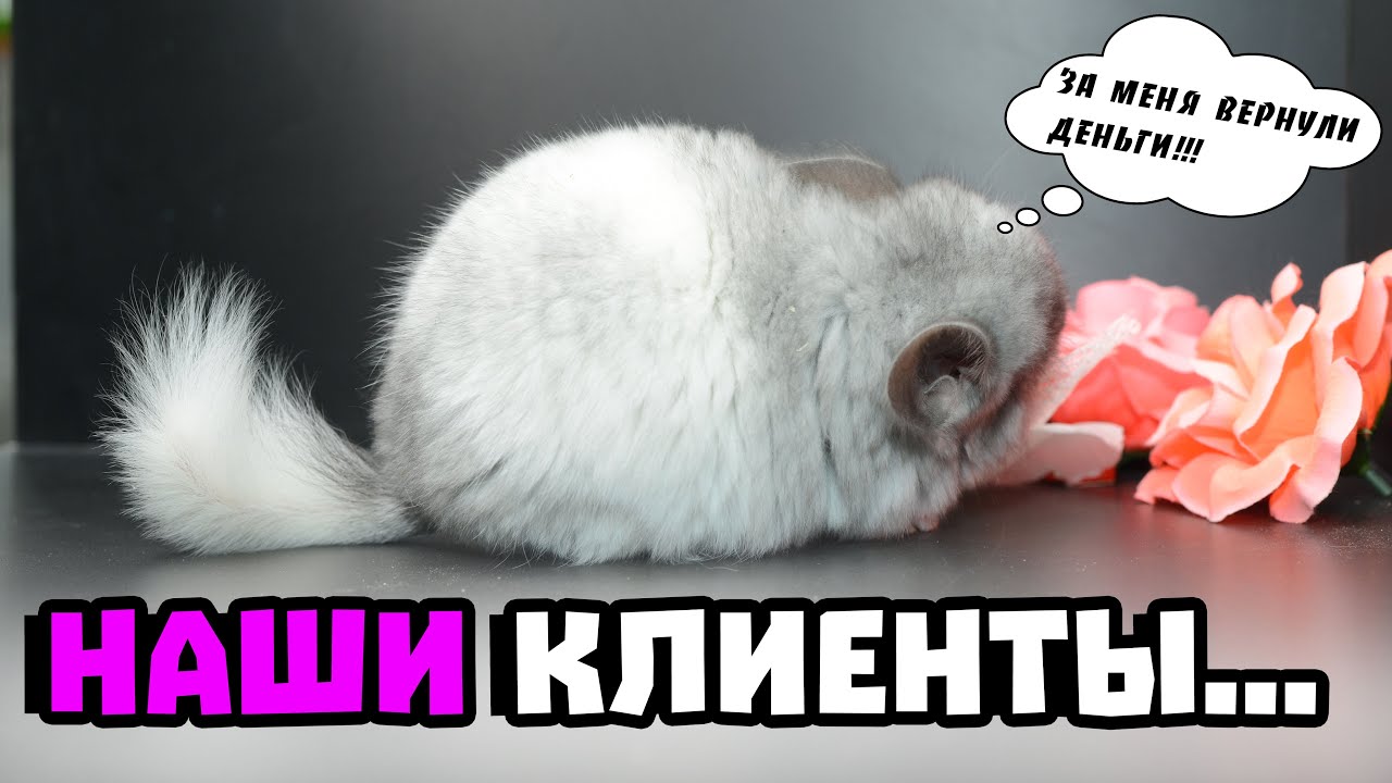 Немного про наших клиентов...