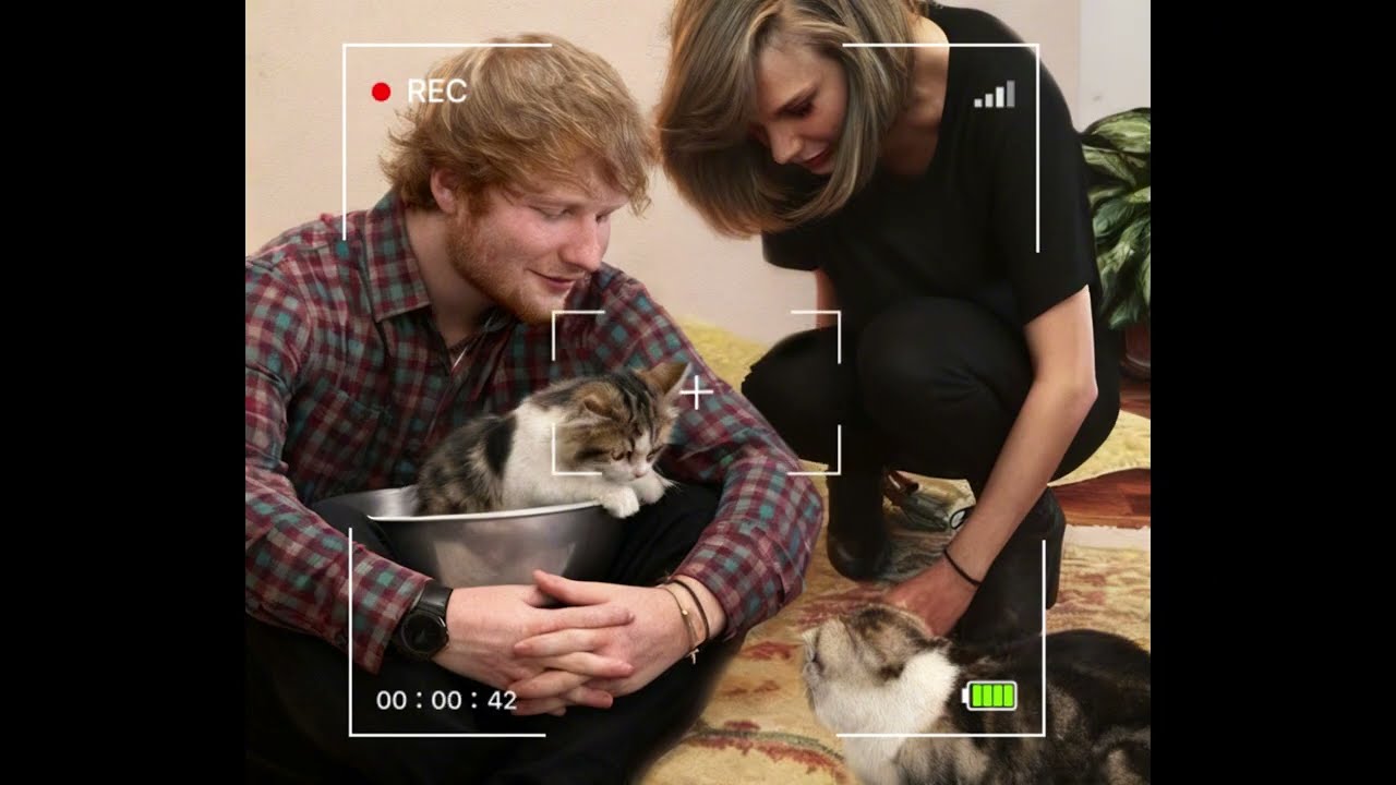Taylor Swift & HerTrio: Meredith Grey, Olivia Benson & Benjamin Button’s Animated Adventures!