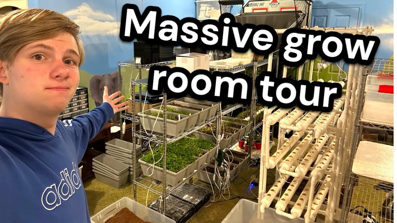 Massive Grow Room Tour
