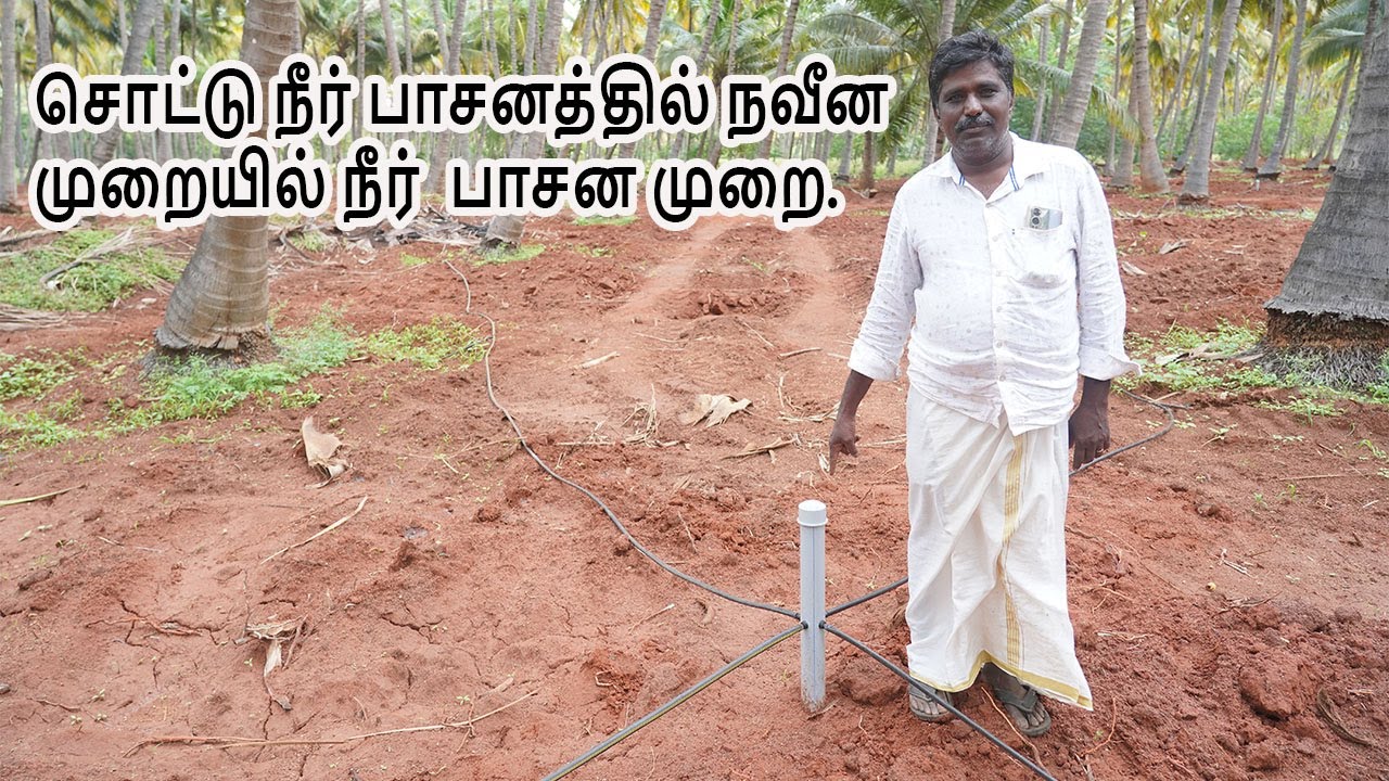 சொட்டு நீர் பாசனத்தில் நவீன முறையில் நீர்  பாசன முறை.