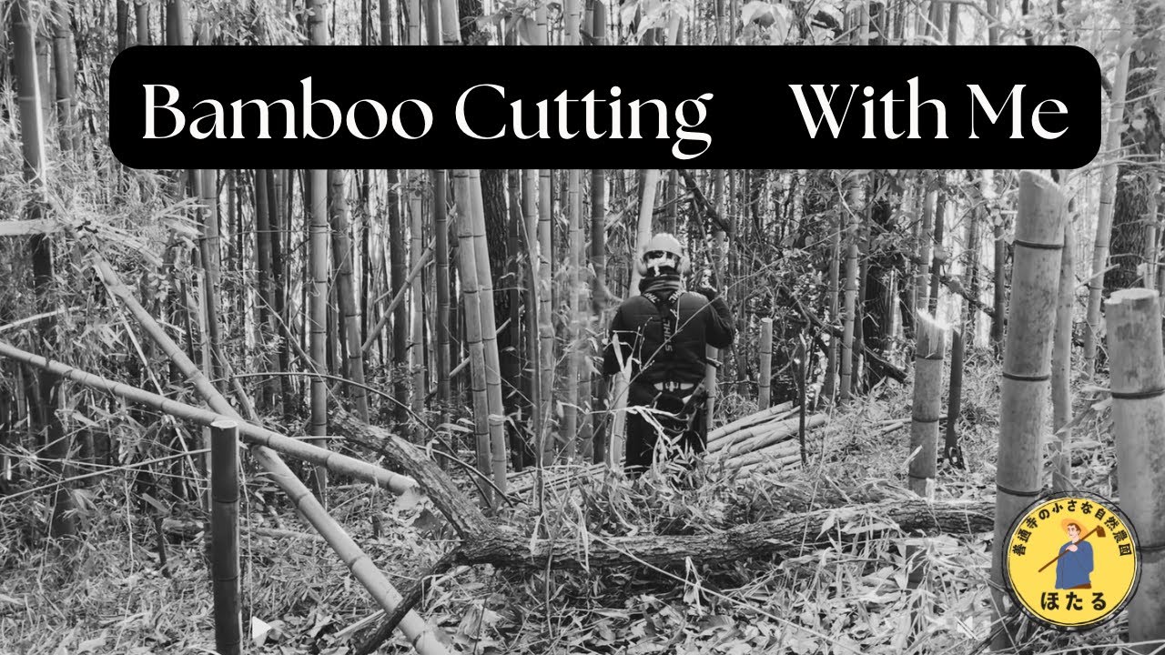Bamboo Cutting With Me | Calm Focus Work Session 