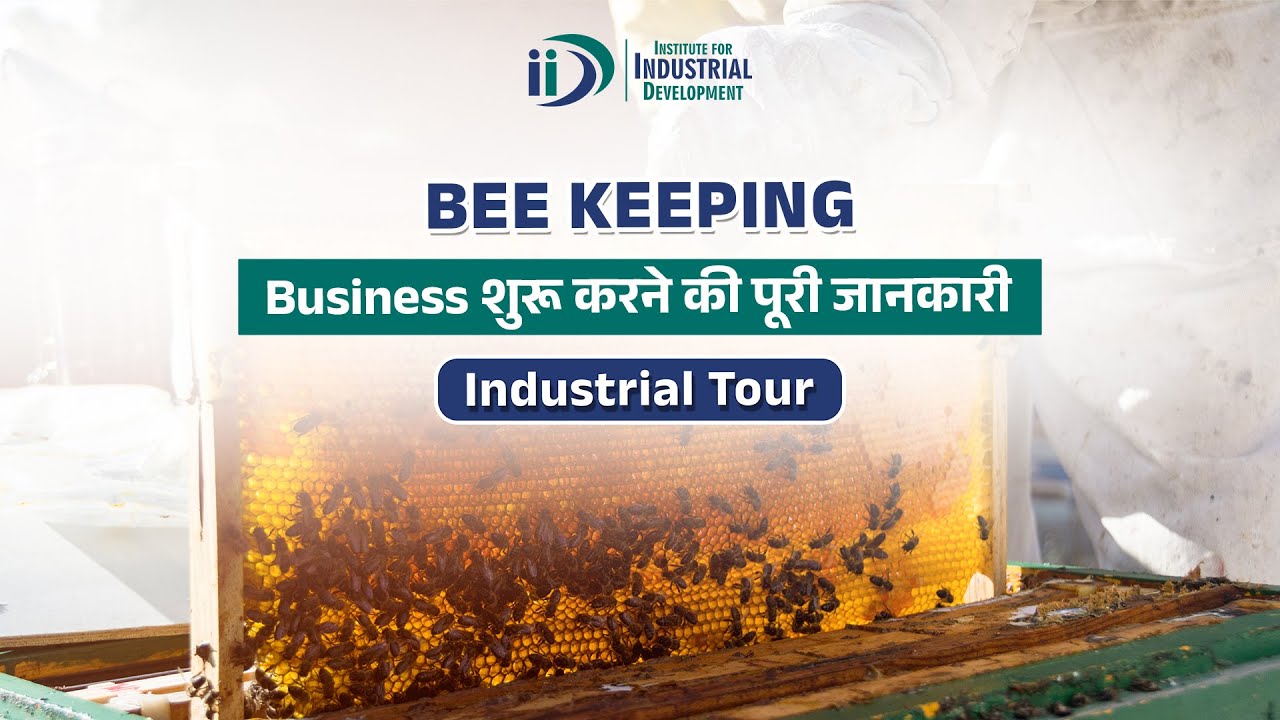 Bee Keeping Business (From Honey to Money)