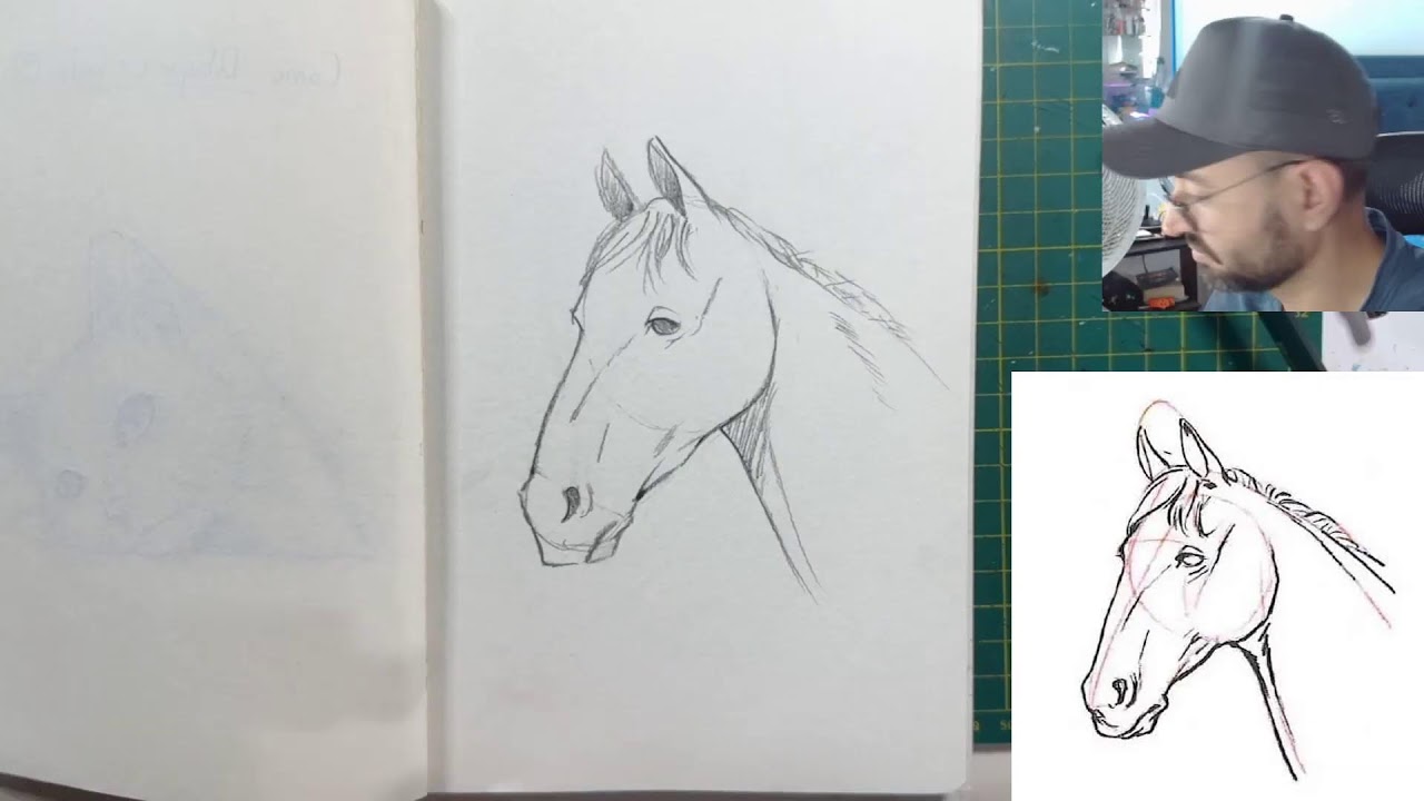 Cómo dibujar un Caballo 🐴