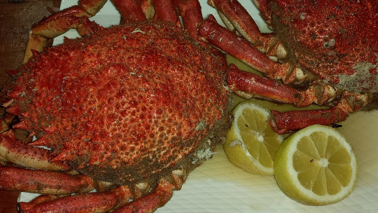 طريقة غسل وطهي وأكل السلطعون او الكراب | Recette de crabe