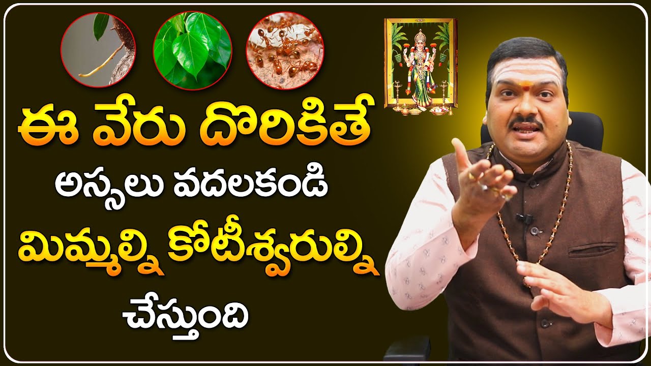 ఈ 3 కలిపి చీమలకు పెట్టండి మీ డబ్బు రెట్టింపు అవ్వడం ఖాయం | Machiraju Kiran Kumar Money Remedies