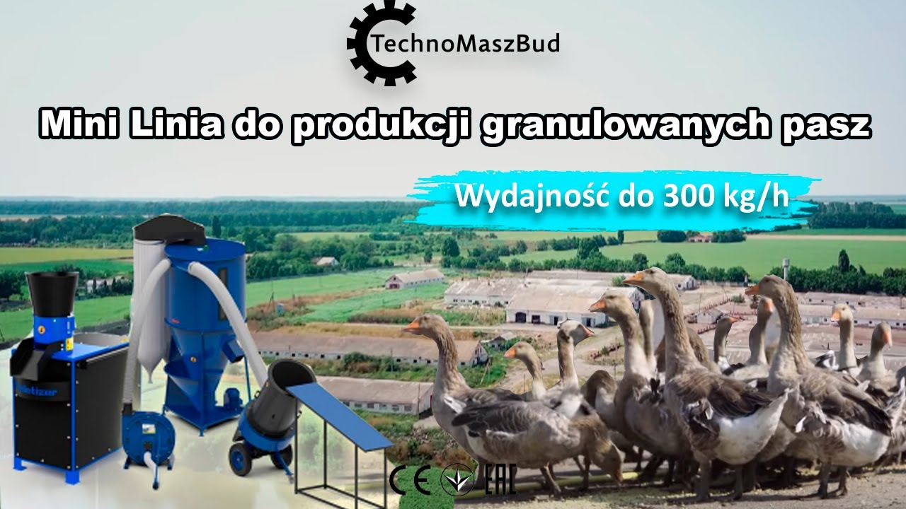 Mini Linia do produkcji granulowanych pasz | Wydajność do 300 kg/h