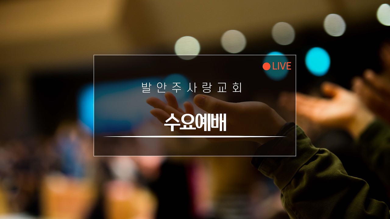 2026.2.11 [수요예배] 하이델베르크요리문답 - 율법과 죄와 비참함