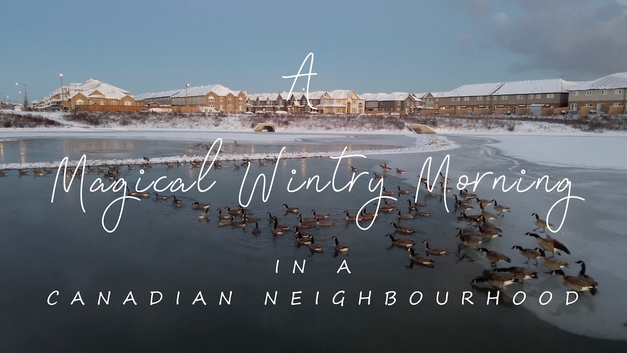 A Magical Wintry Morning in a Canadian Neighbourhood | Hamilton, Ontario