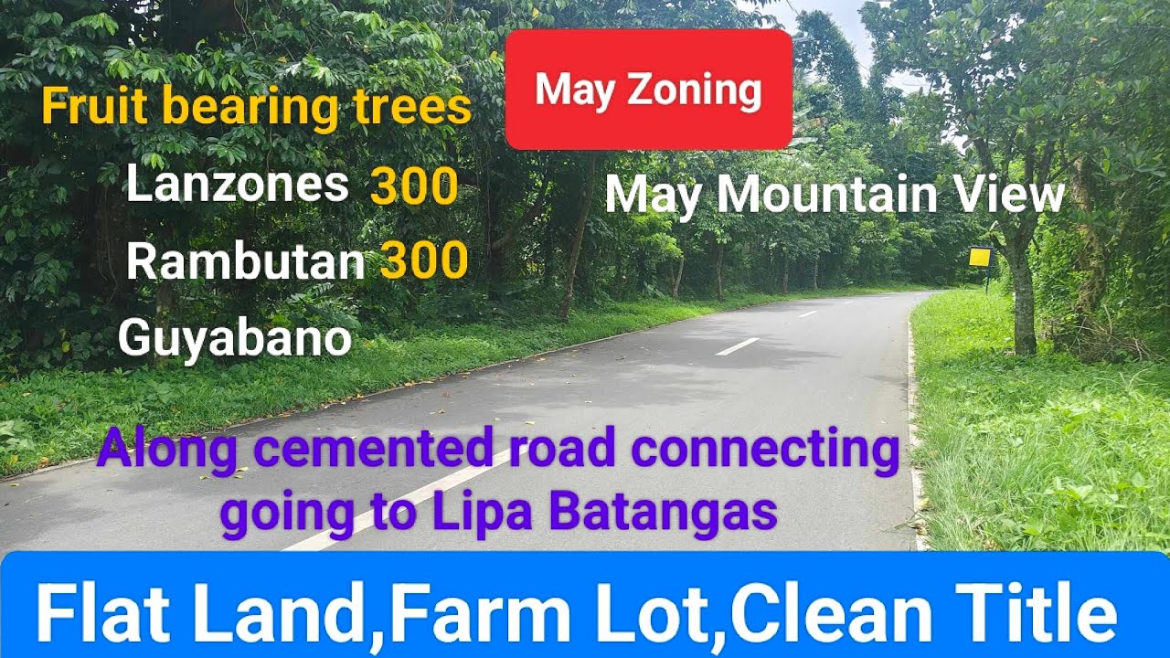 #Vlog338 FARM LOT CLEAN TITLE FOR SALE | ALONG CEMENTED ROAD in ALAMINOS LAGUNA