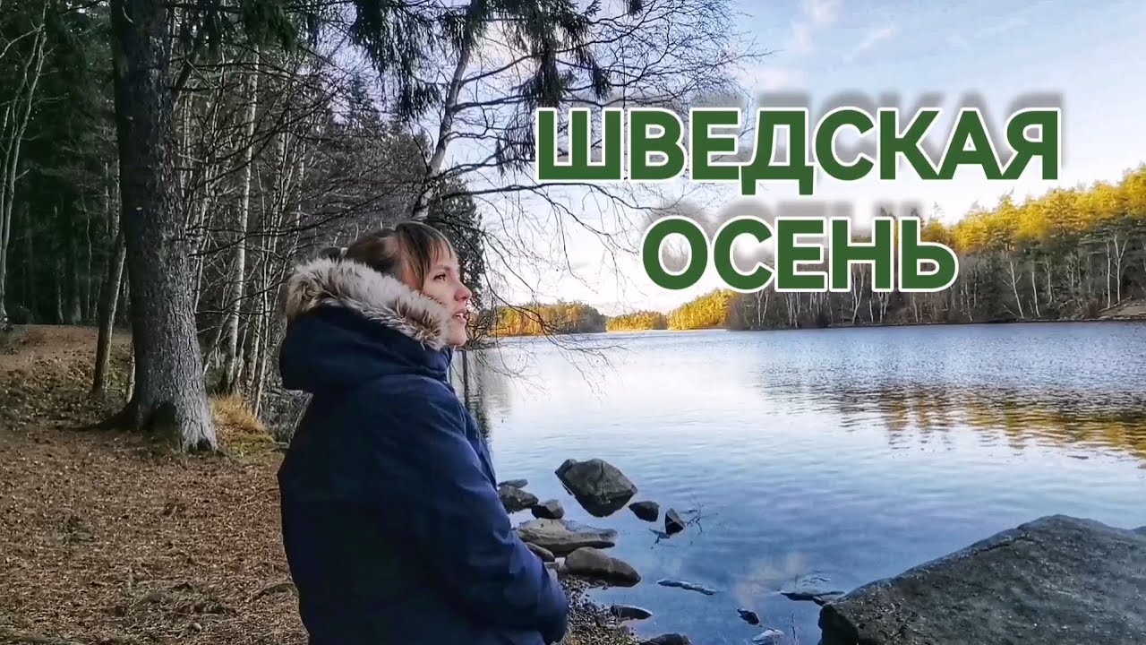 Осень в Гётеборге, Швеция. Грибы и редкое солнце
