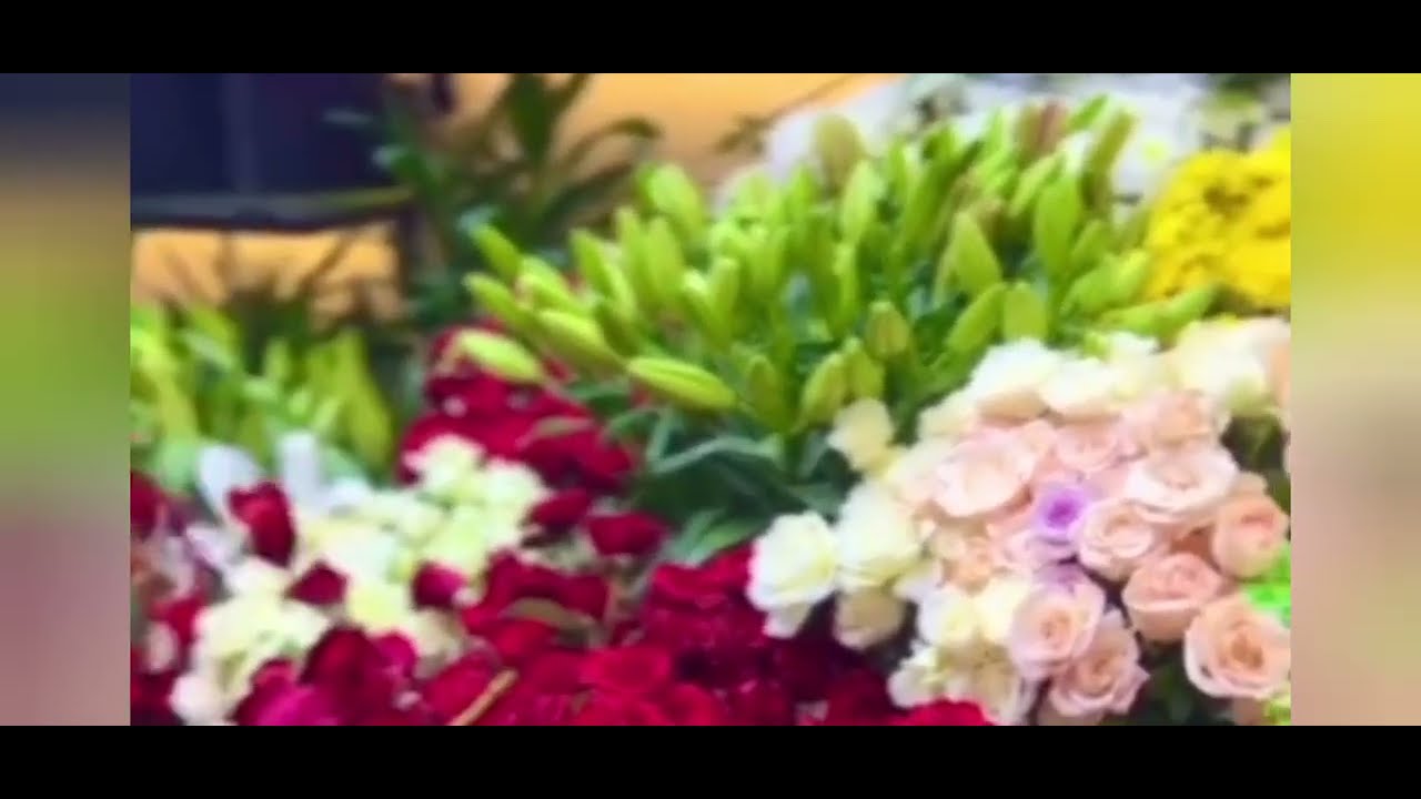 ሄሉም እውነታ አላት🙄@helutube @nattytube9173 @yabsramisganaw141 