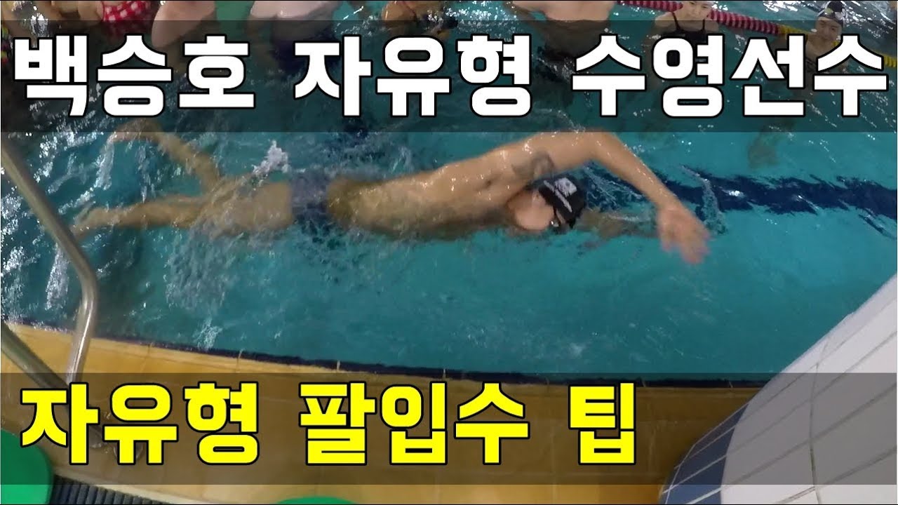 SHC 수영 강습_ 백승호 선수 자유형 팔입수 팁