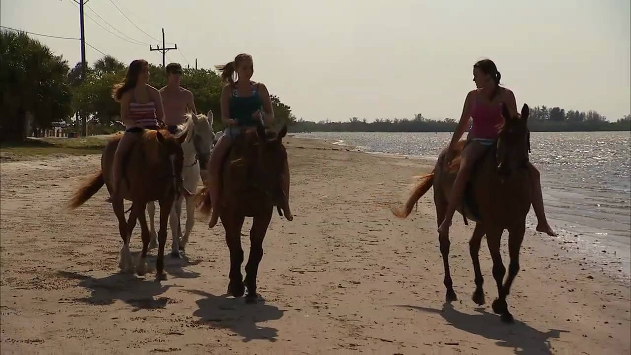 Anna Maria Island Get Into Horse Surfing Video Production © Dreamtime Entertainment, Florida