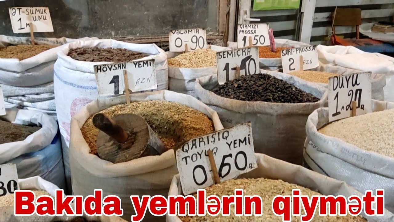 Bakıda yemlərin qiyməti bəs rayonlarda ??? #mubarizemintv #bugda #arpa #qargadali #soya