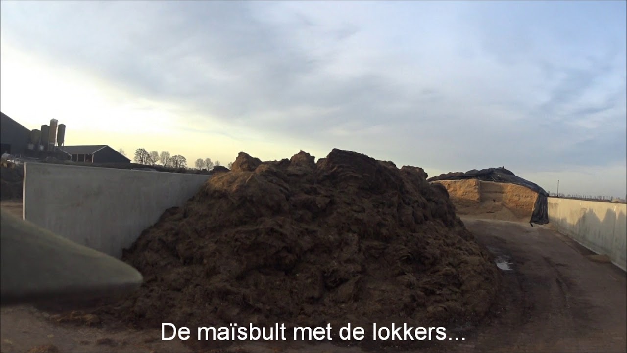 07 04 2018 kraaien