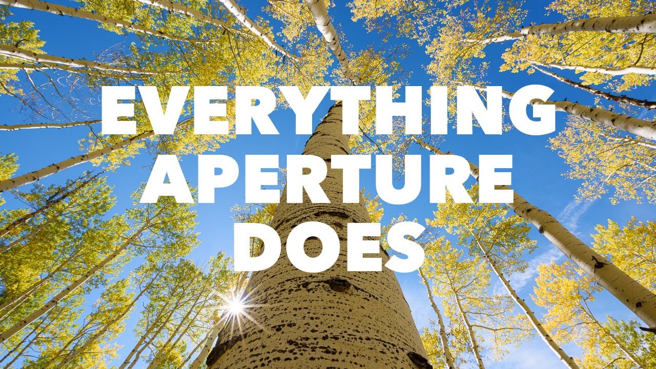 Every Single Effect of Aperture in Photography, Explained