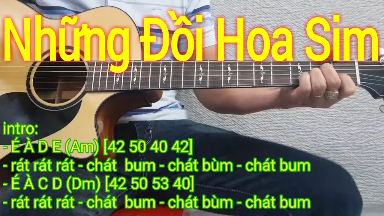 Những Đồi Hoa Sim | Hướng dẫn solo và đệm hát | Điêu Chương