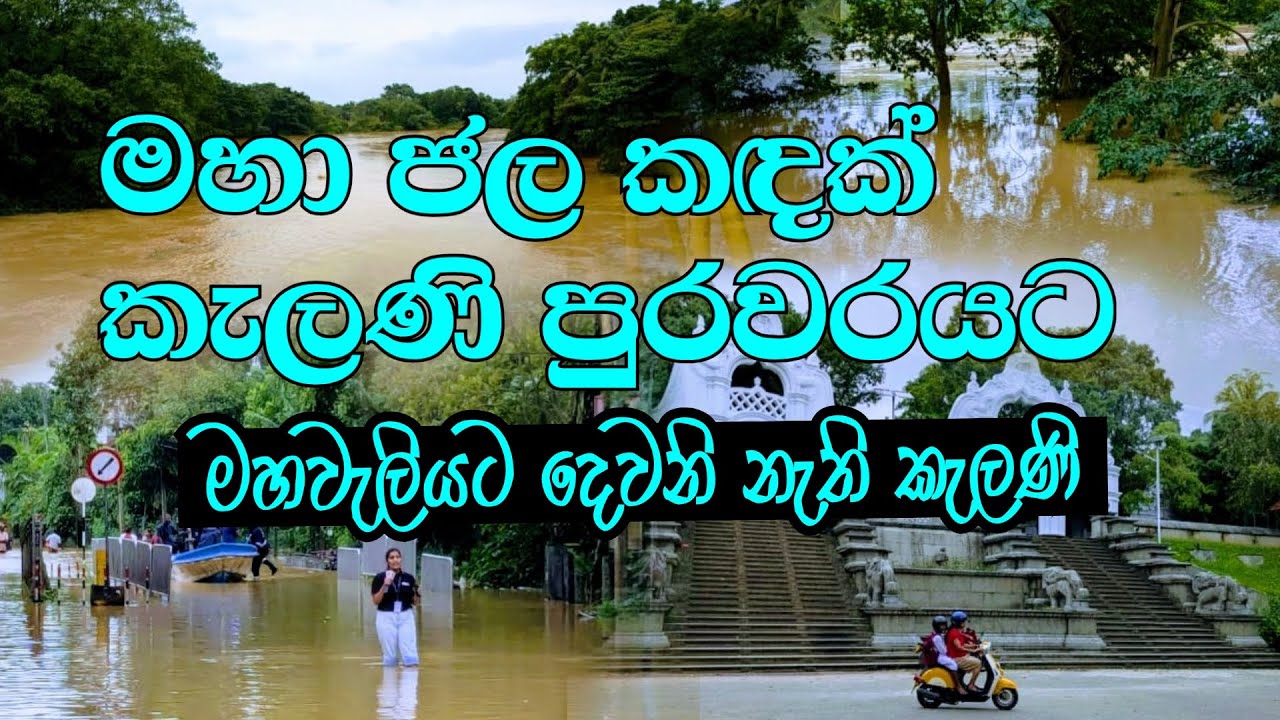 කැලණි ගඟේ මහා ජල කඳක් කොළඹ යට කරගෙන මහ මුහුදට 🙁| Kelani River