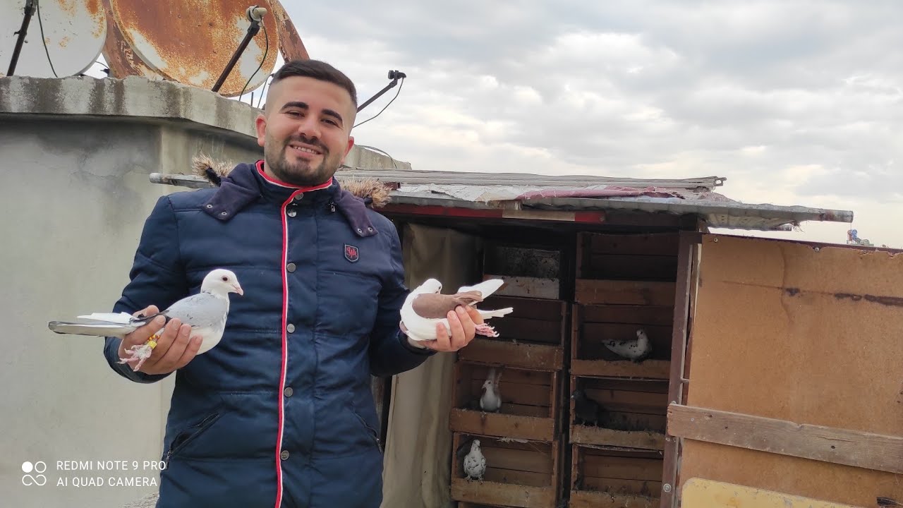 4 Tane Güvercinim Kaçtı 3 Tane İndi !