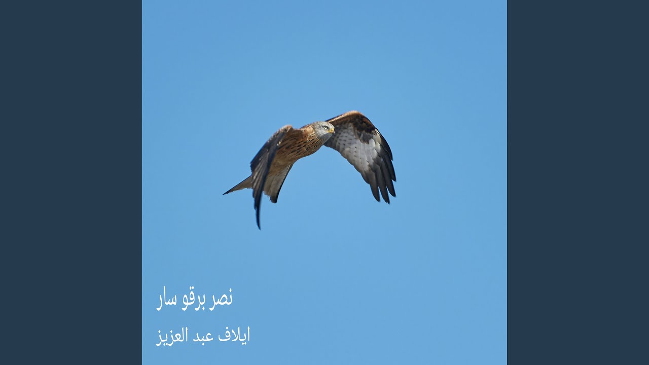 نصر برقو سار