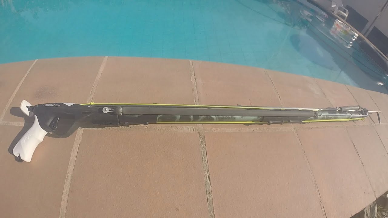 De monogoma a roisub f1