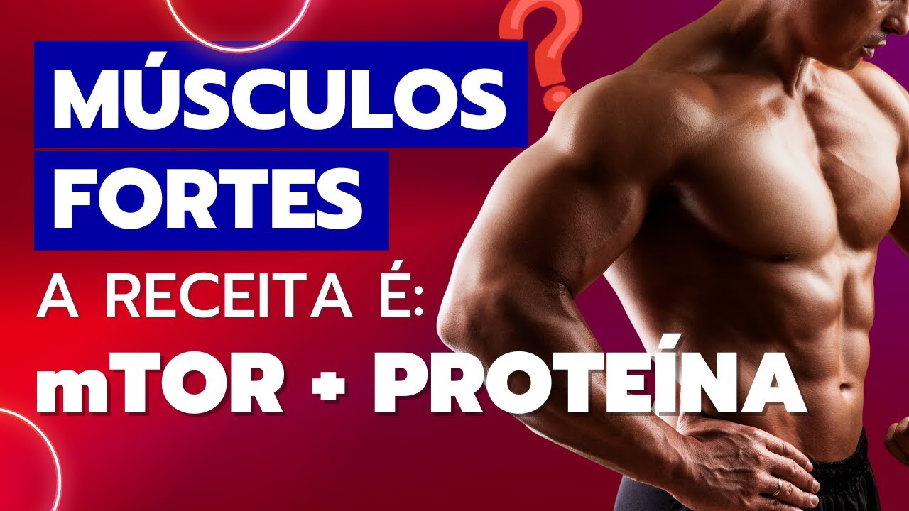 Músculos Fortes: a receita é MTOR + Proteína