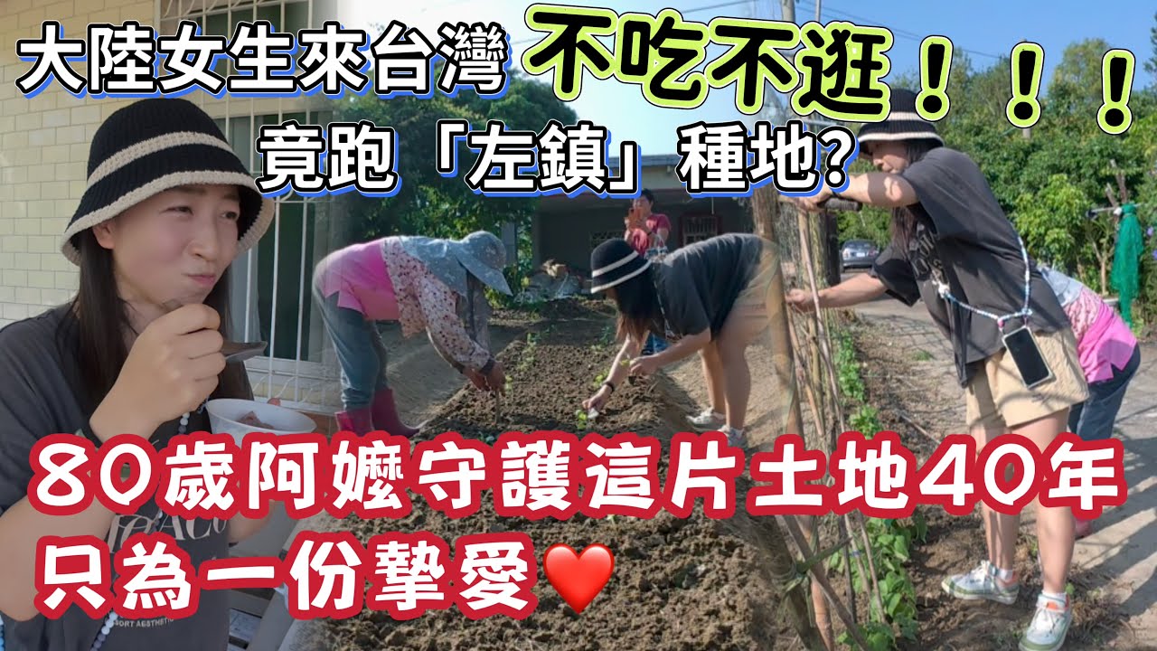 【雅麗遊台灣】特別篇｜台南「左鎮」 大陸女生來台灣，不吃不逛竟種地？｜80歲阿嬤守護這片土地40年，只為一份摯愛