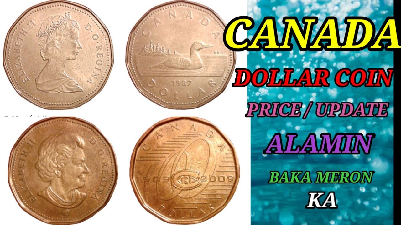 ONE DOLLAR 1988 &2009 CANADA COINS/ VALUE / MV coin,s TV
