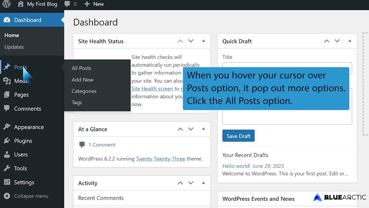 How to Remove a Post in WordPress   BLUE ARCTIC