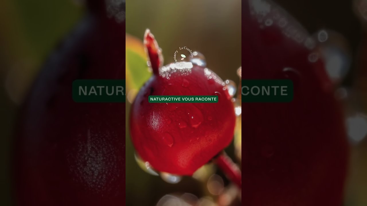 Cranberry : les conseils d’un urologue pour le bien-être féminin