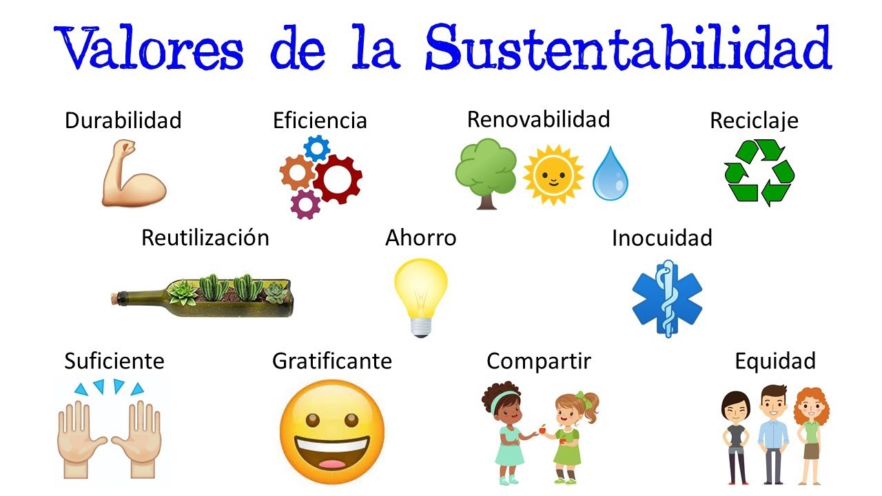 🌳 Valores de la Sustentabilidad ♻️  [F&aacute;cil y R&aacute;pido] | BIOLOG&Iacute;A |