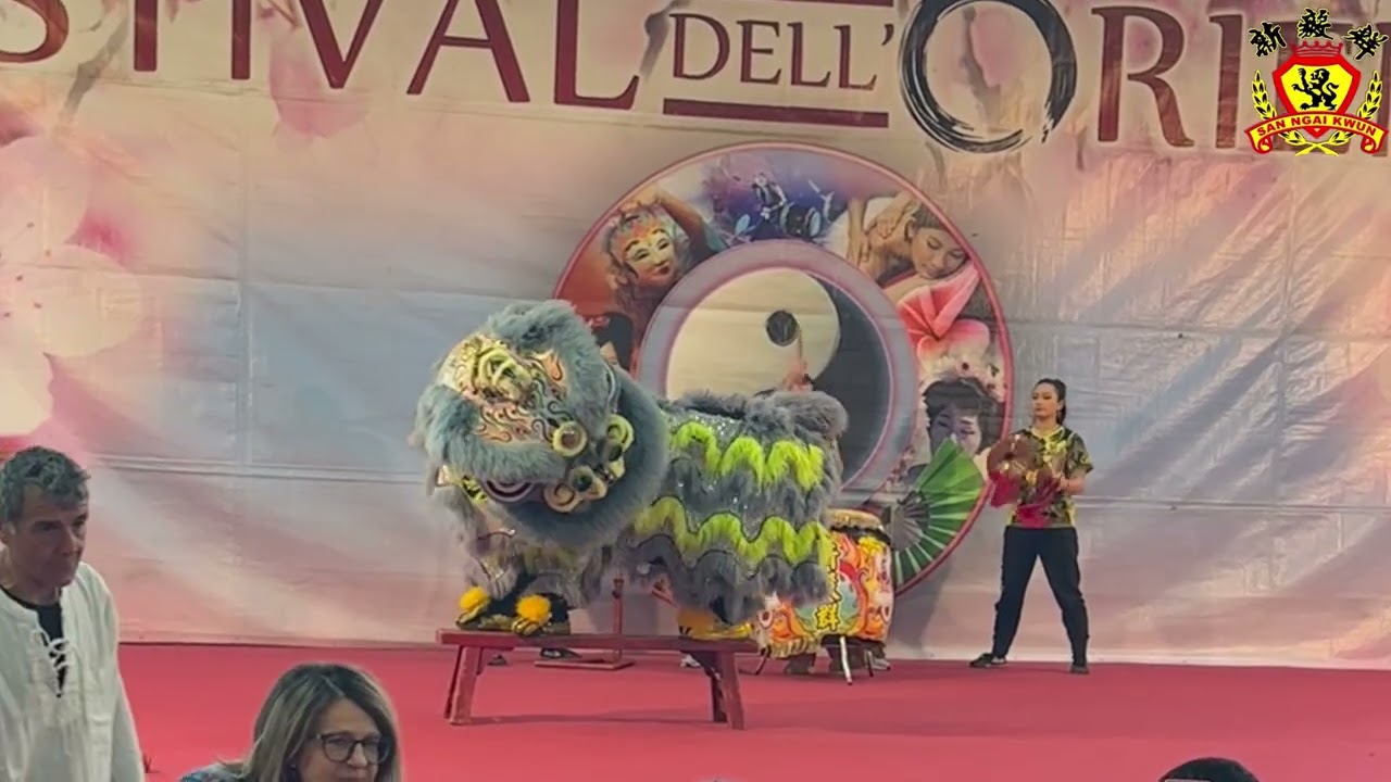 Traditional Lion Dance 🦁 #liondance #italy #traditional #subscribe 