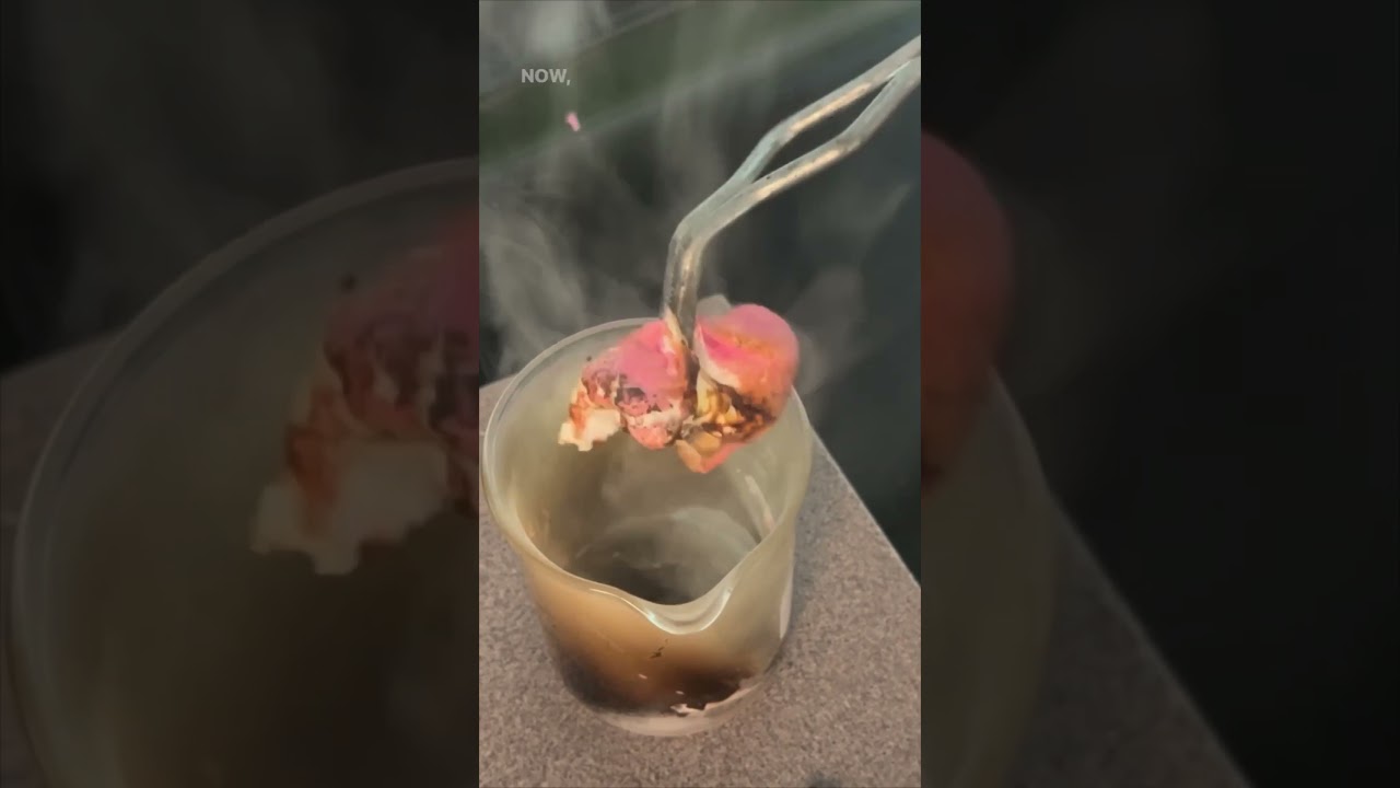 When Peeps meet Potassium Chlorate #Chemistry 🧪 #STEMEducator 🧑&zwj;🔬  #ChemicalReactions 🧪