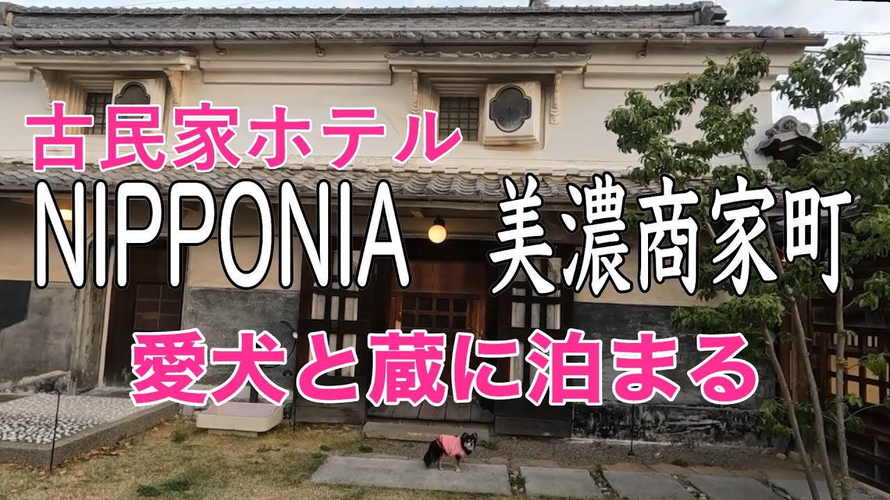 【古民家ホテル】NIPPONIA　美濃商家町の蔵に泊まり「うだつの上がる町を散歩!」/Old townscape of Japan/#chihuahua