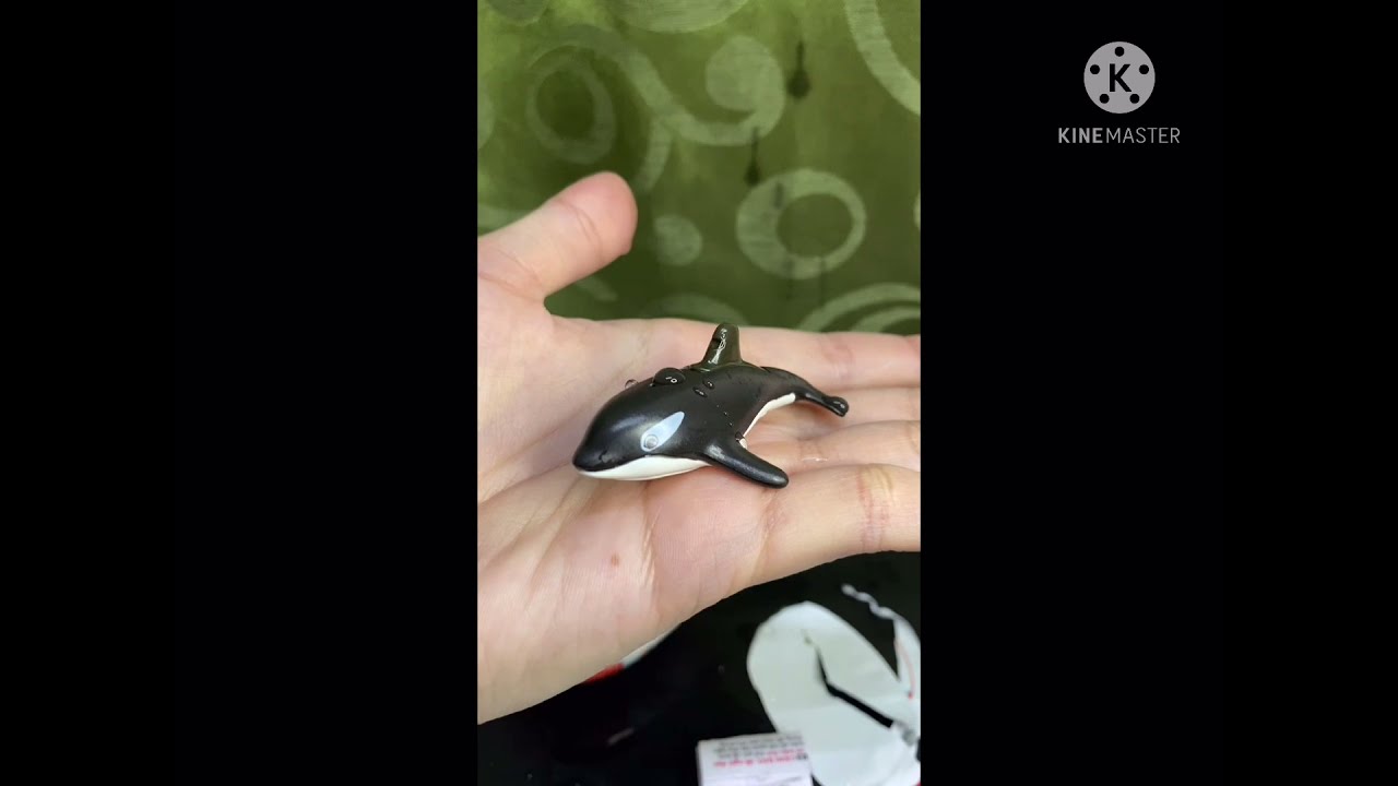 KINDER JOY TROPICAL ISLAND SQUIRTING WHALE TOY VV144 #shorts #youtubeshorts || VoyagersTV