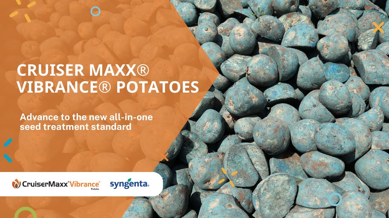 Cruiser Maxx® Vibrance® Potatoes: Advance to the new all-in-one seed treatment standard