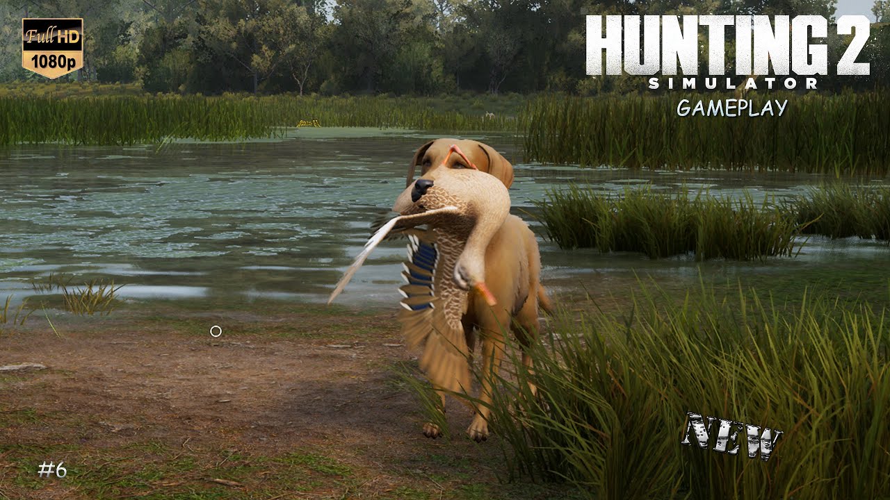 HUNTING SIMULATOR 2 #6 GAMEPLAY UNE BELLE CHASSE AUX CANARDS AVEC MON LABRADOR
