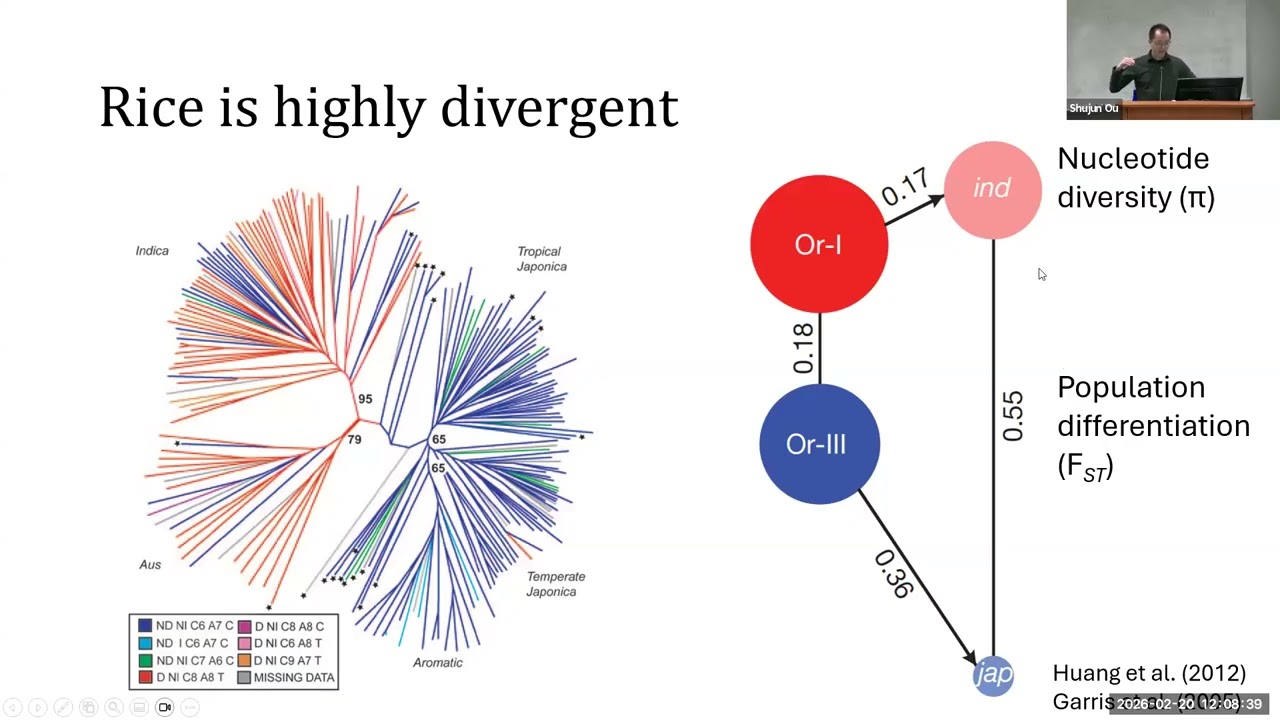 How do Transposable Elements contribute to regulatory innovation and adaptation.